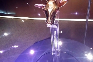 Foto_12