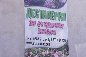 Foto_6